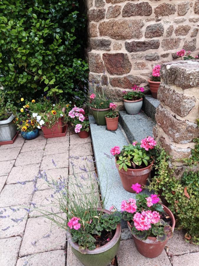 Villa La Cote Du Chat 3* En Bretagne Romantique Hede-Bazouges Ngoại thất bức ảnh
